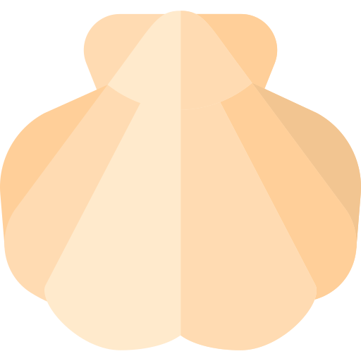 conchiglia Basic Rounded Flat icona