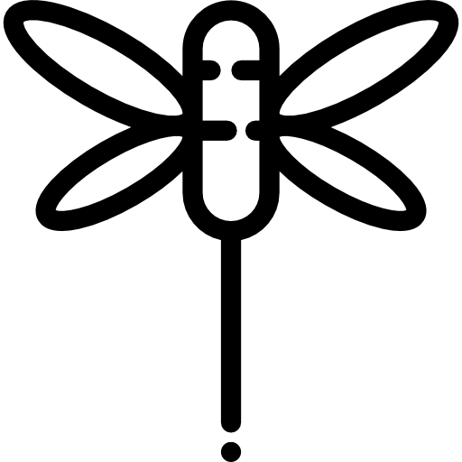 libélula Detailed Rounded Lineal icono