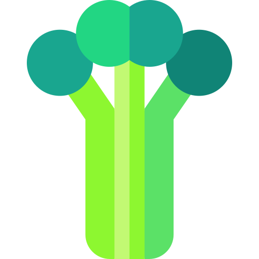 Celery Basic Straight Flat icon