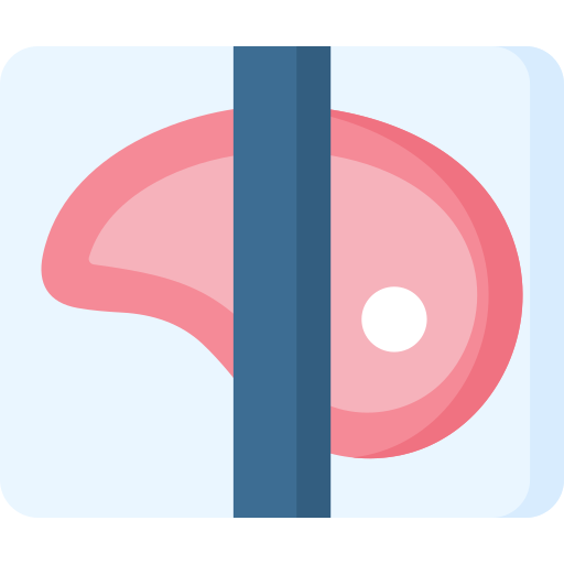 filete Special Flat icono
