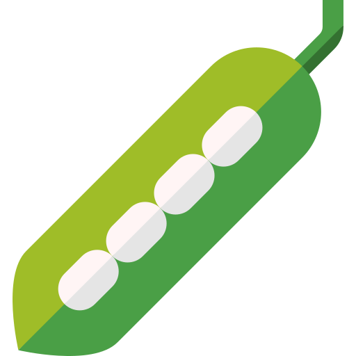 콩 Basic Straight Flat icon