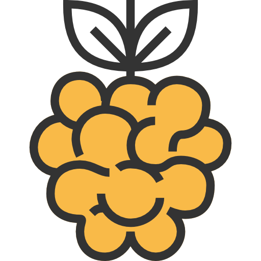 Raspberry Meticulous Yellow shadow icon
