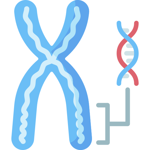 cromosoma Special Flat icona