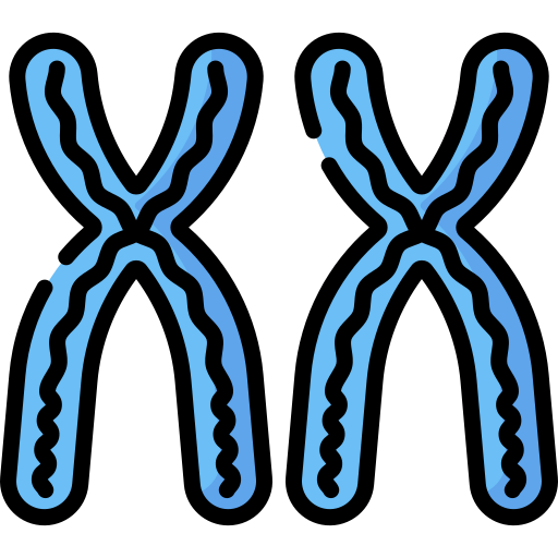 cromossomos Special Lineal color Ícone