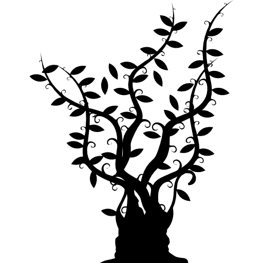 Árbol de tronco grueso con ramas largas y delgadas con hojas en toda su extensión.  icono