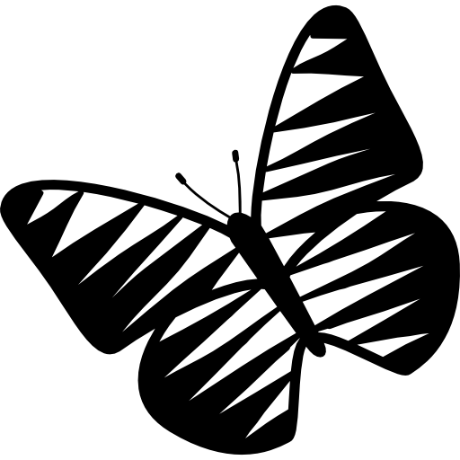 Butterfly with striped wings rotated to left  icon