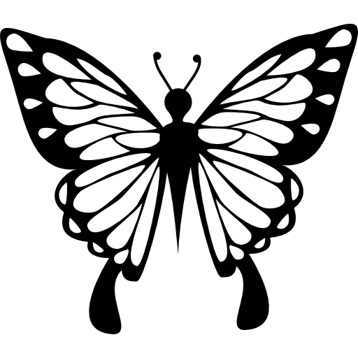 vlinder met delicate vleugels vanuit bovenaanzicht  icoon