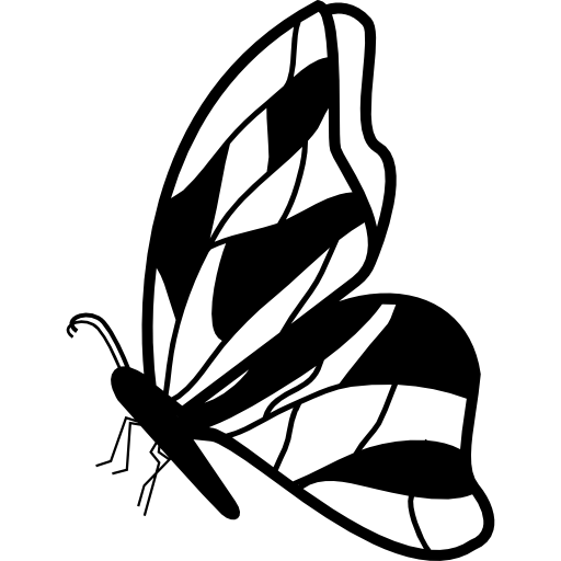 farfalla vista laterale con ali irregolari  icona