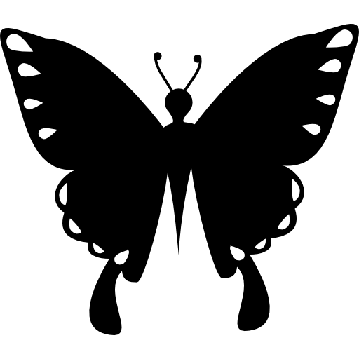 vista superior de insectos de forma negra de mariposa  icono
