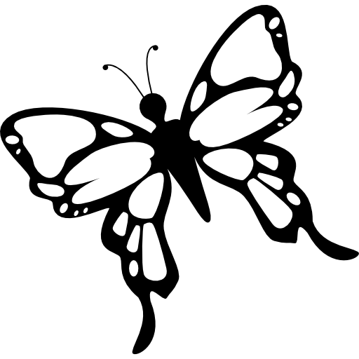 motyl ze szczegółowymi skrzydłami  ikona