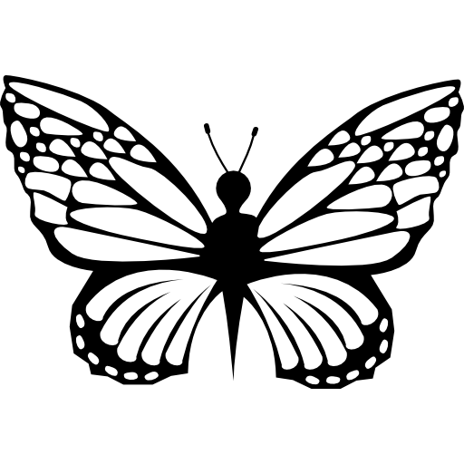 delikatność kształtów motyli  ikona