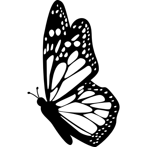 Butterfly side view with detailed wings  icon