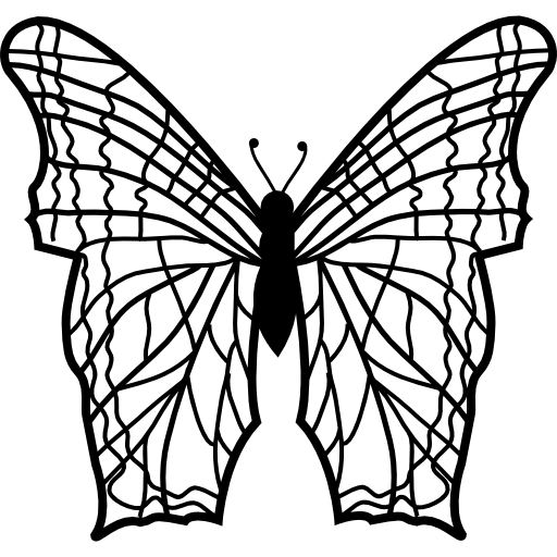 vlinder met complexe dunne lijnen patroonvleugels vanuit bovenaanzicht  icoon