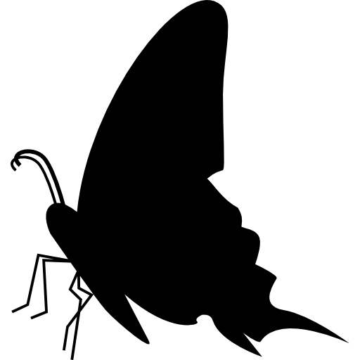 Бабочка черный вид сбоку силуэт  иконка