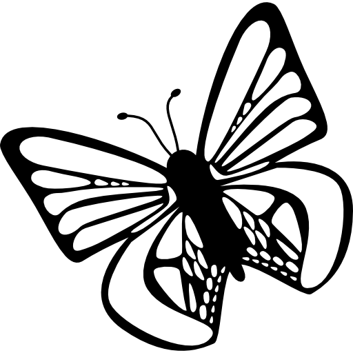 vista superior de la mariposa  icono