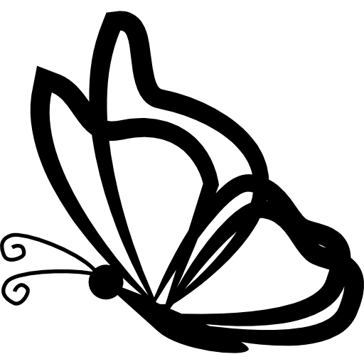 farfalla con contorni di ali trasparenti dalla vista laterale  icona