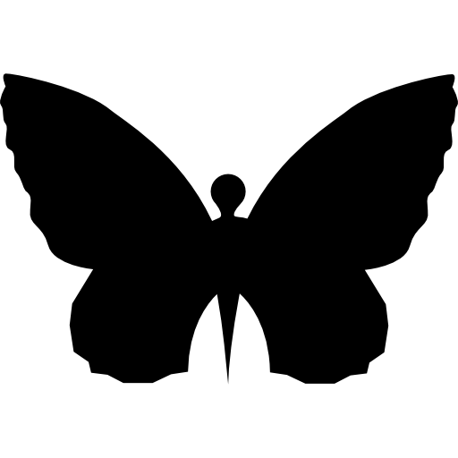vlindervorm bovenaanzicht  icoon