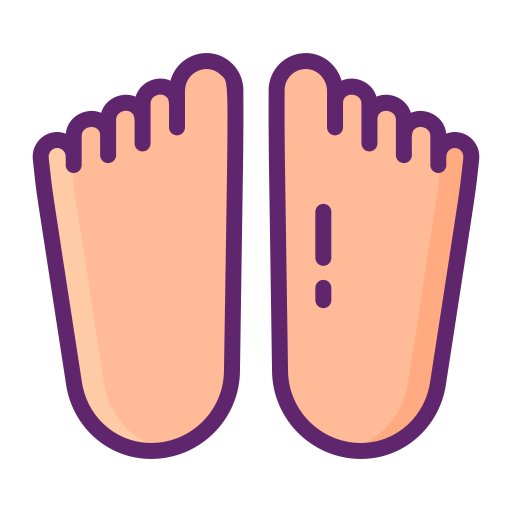 Feet Flaticons Lineal Color icon