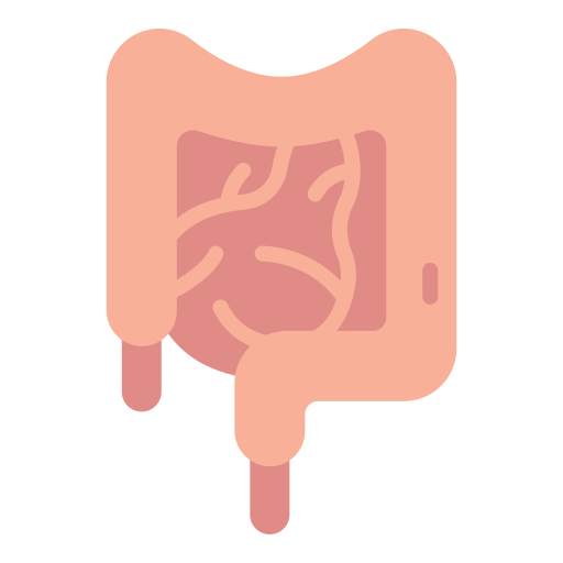 intestinos Good Ware Flat icono