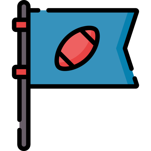 flagge Special Lineal color icon