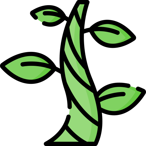 Beanstalk Special Lineal color icon