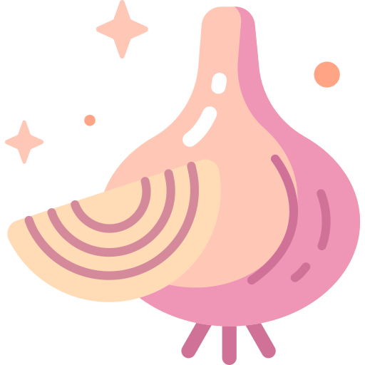 양파 Special Candy Flat icon