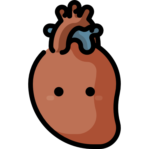 cardiología Special Lineal color icono