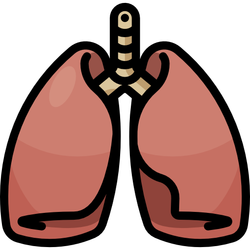 Lungs Special Lineal color icon