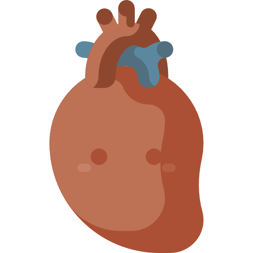 cardiologia Special Flat Ícone
