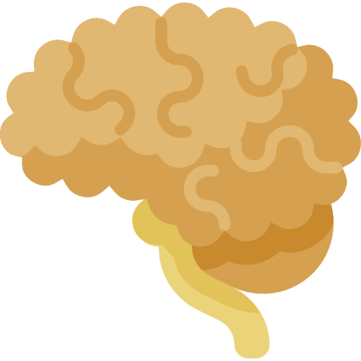 neurologie Special Flat icon