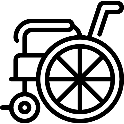 rolstoel Special Lineal icoon