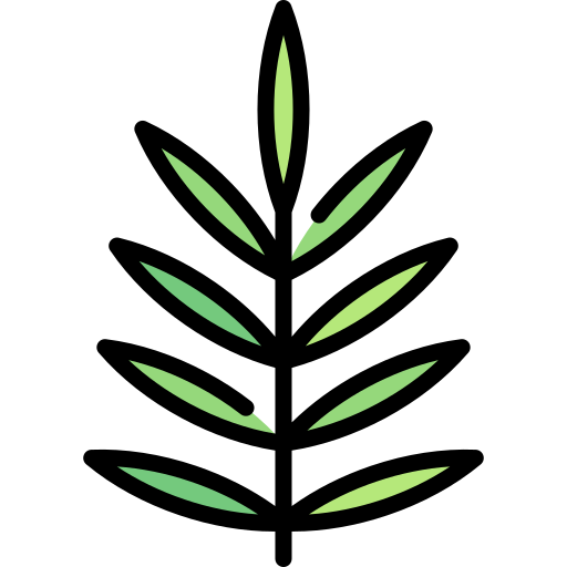 Leaf Special Lineal color icon