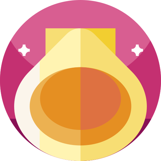 schaaldieren Geometric Flat Circular Flat icoon