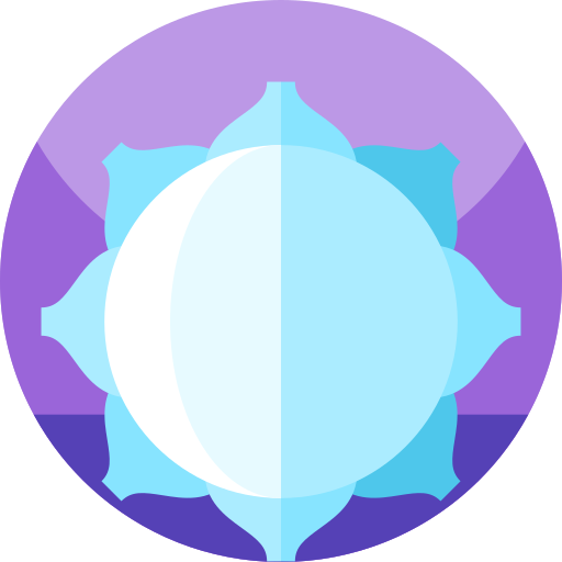 corona Geometric Flat Circular Flat icono