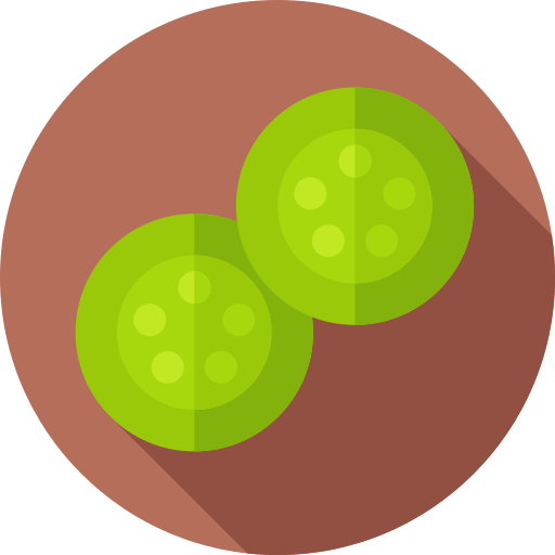 Cucumber Flat Circular Flat icon