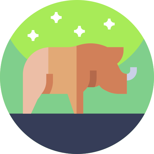 Rhino Geometric Flat Circular Flat icon