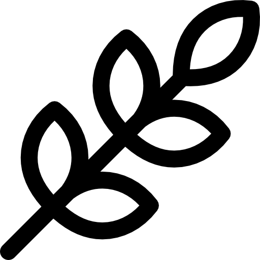 小麦 Basic Rounded Lineal icon
