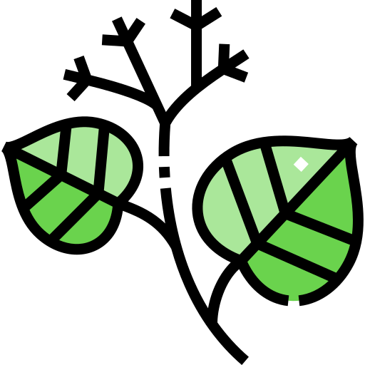 リンデン Detailed Straight Lineal color icon