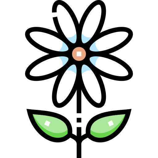 カモミール Detailed Straight Lineal color icon