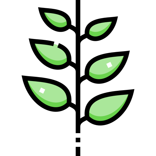 zielona herbata Detailed Straight Lineal color ikona