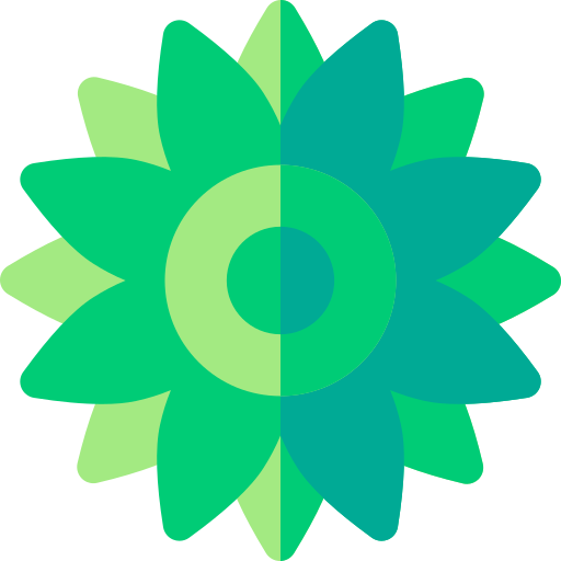 chrysant Basic Rounded Flat icoon
