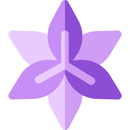 lilia Basic Rounded Flat ikona