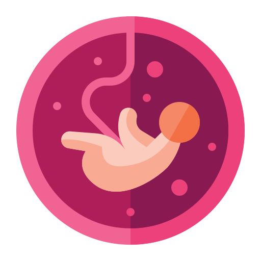 胎児 Generic Flat icon
