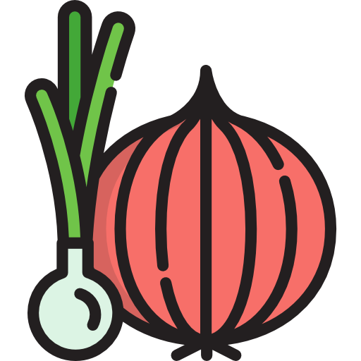 Onion Special Lineal color icon