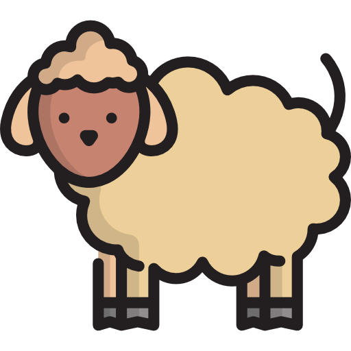 Sheep Special Lineal color icon