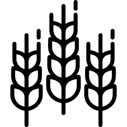 Wheat Special Lineal icon