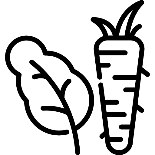 野菜 Special Lineal icon