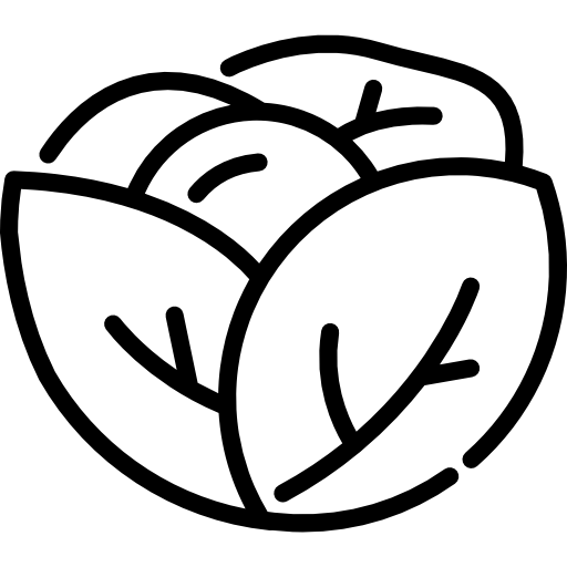 レタス Special Lineal icon