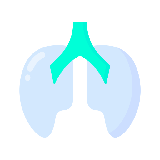 pulmones Generic Flat icono