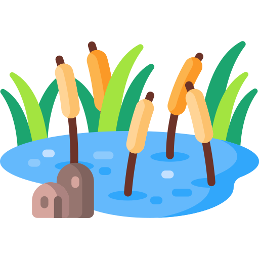 池 Special Flat icon